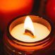 Соєва свічка &ldquo;Jamaica me crazy&rdquo; (шалена Ямайка)
